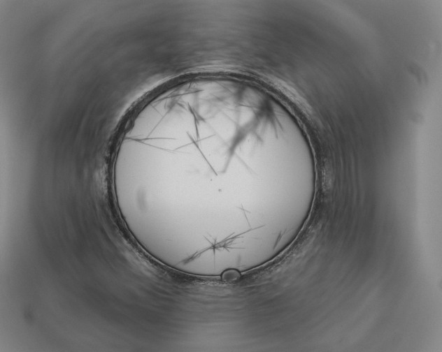 X0000112761356200909101521