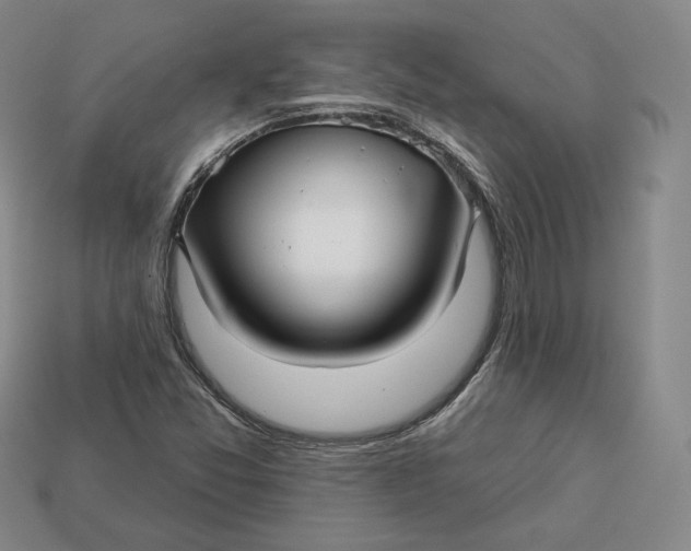 X0000112761357200909101521