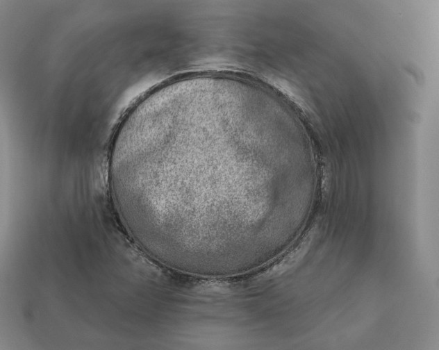X0000112761358200909101521