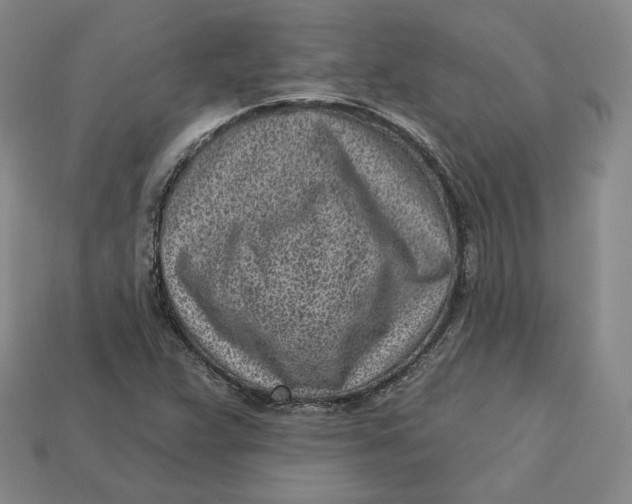 X0000112761359200909101521