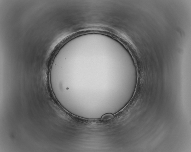 X0000112761360200909101521