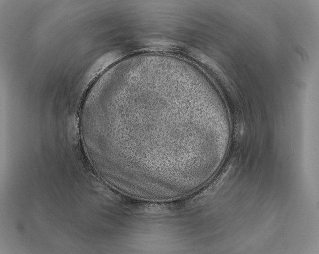 X0000112761362200909101521