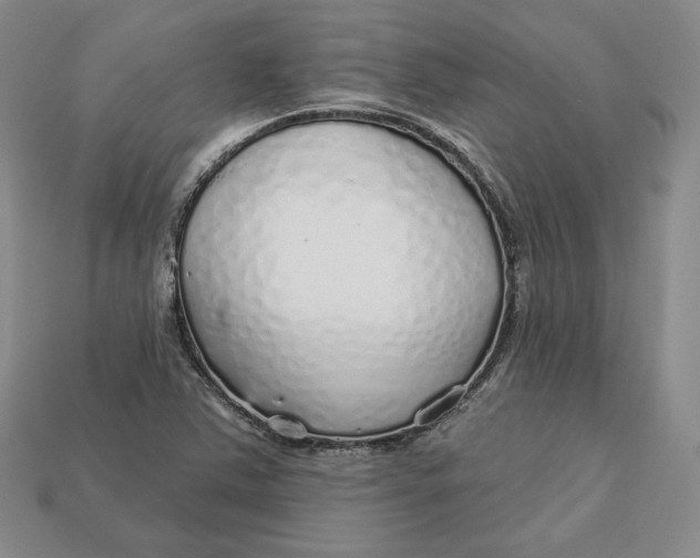 X0000112761363200909101521