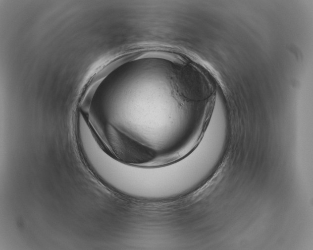 X0000112761365200909101521