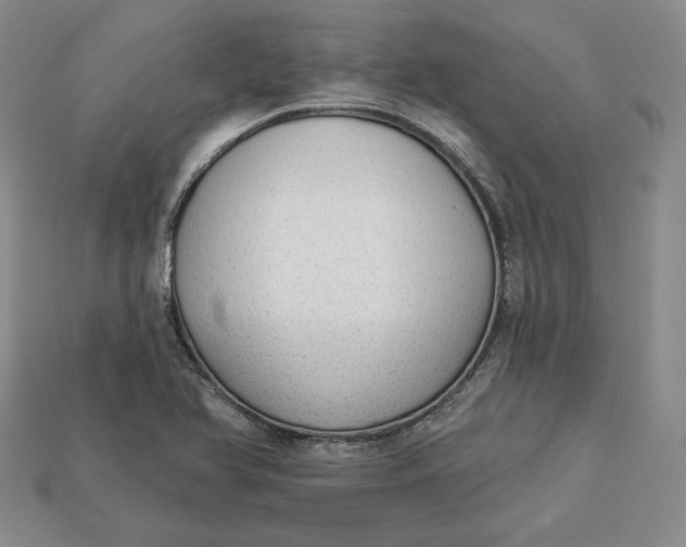 X0000112761366200909101521