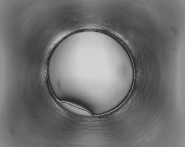 X0000112761367200909101521