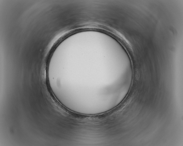 X0000112761368200909101521