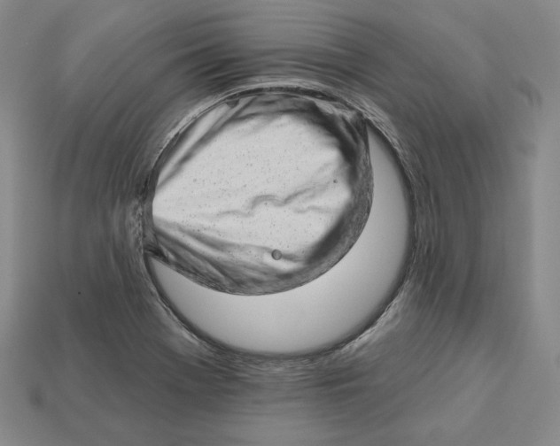 X0000112761369200909101521