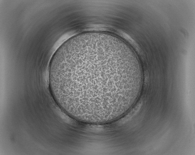 X0000112761370200909101521