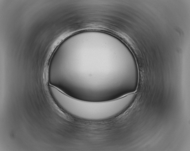 X0000112761371200909101521