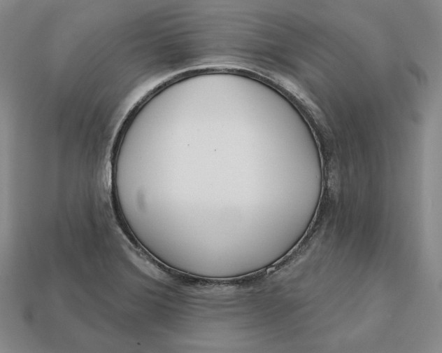 X0000112761372200909101521