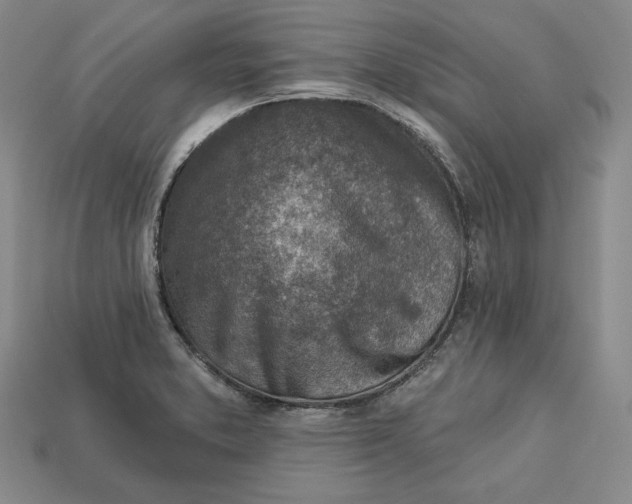 X0000112761373200909101521