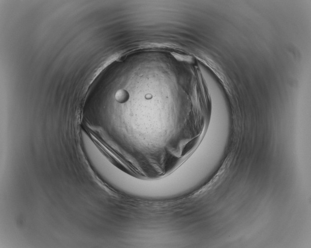 X0000112761377200909101521