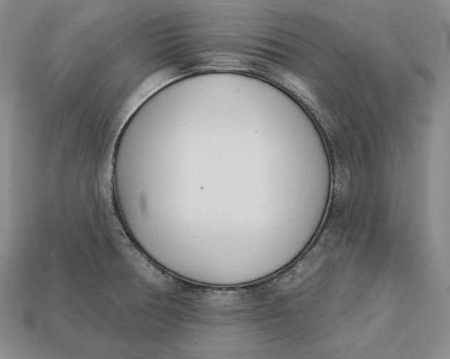 X0000112761378200909101521