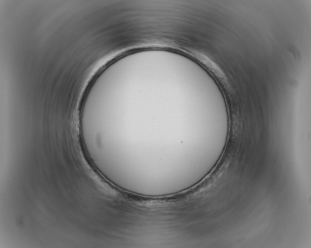 X0000112761380200909101521