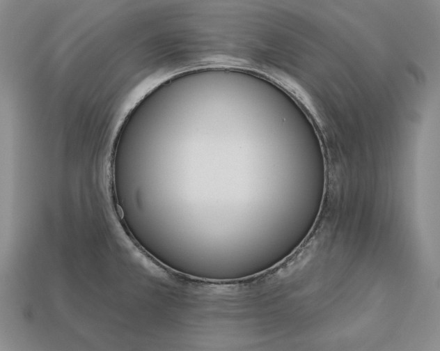 X0000112761381200909101521