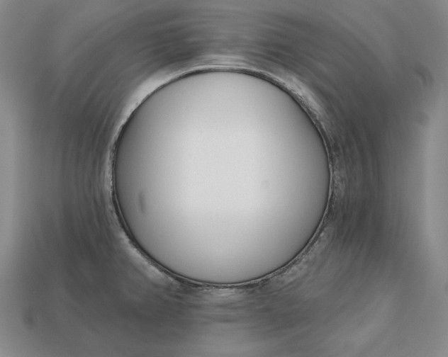 X0000112761382200909101521
