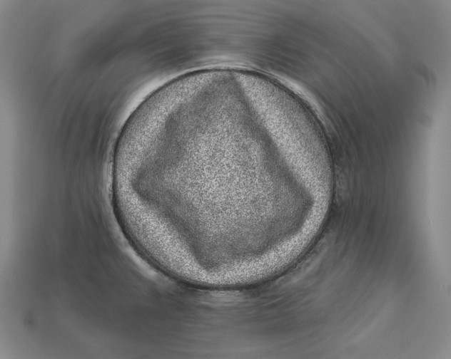 X0000112761383200909101521