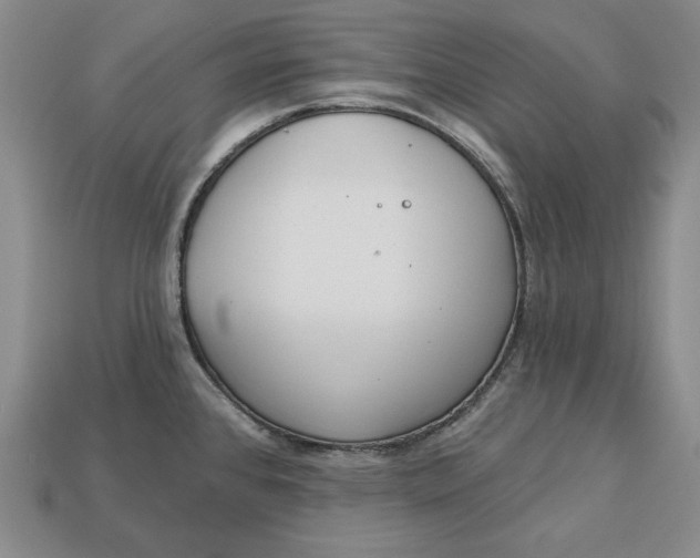 X0000112761384200909101521