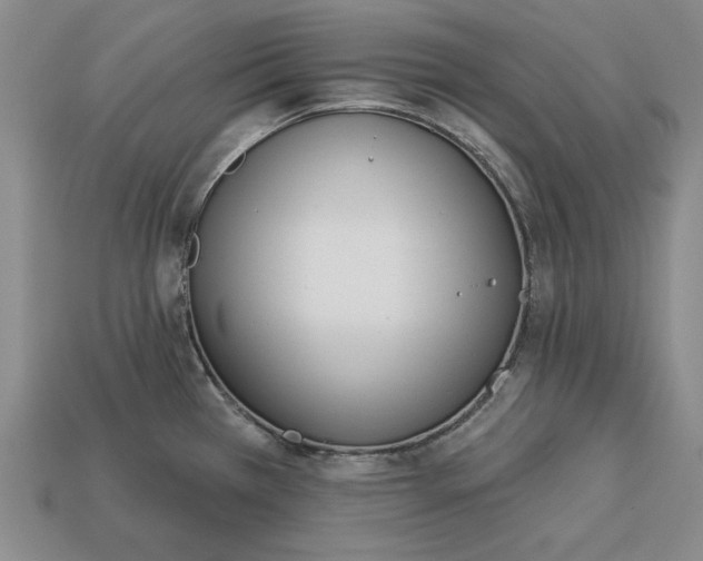 X0000112761385200909101521