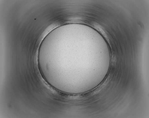 X0000112761386200909101521