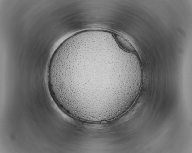 X0000112761387200909101521