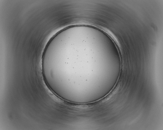 X0000112761388200909101521