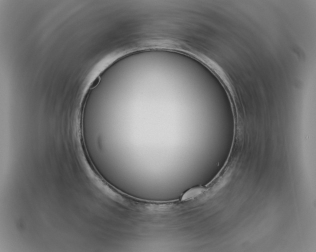 X0000112761389200909101521