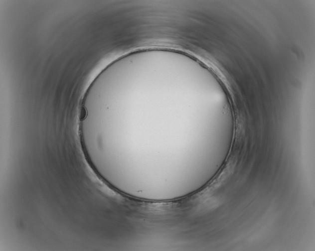 X0000112761390200909101521