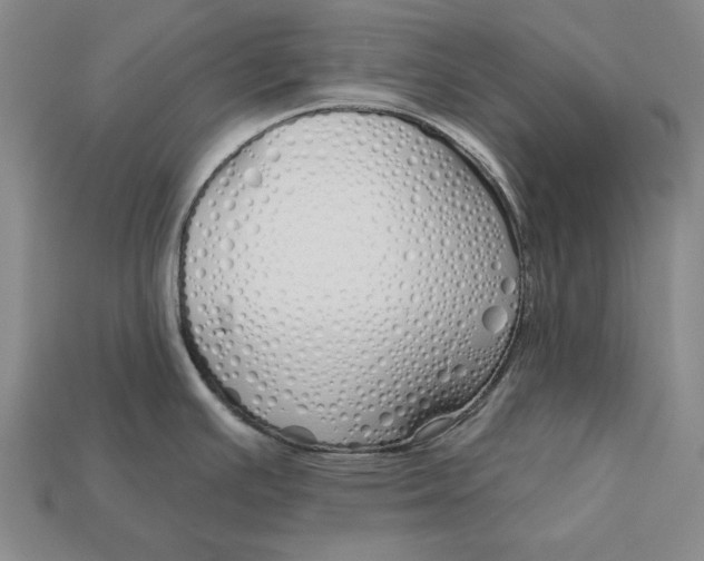 X0000112761391200909101521