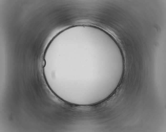 X0000112761392200909101521