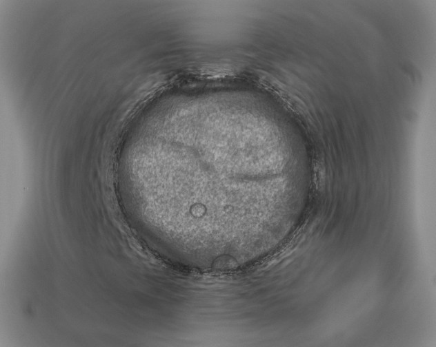 X0000112761393200909101520