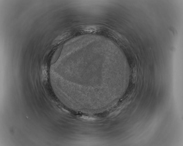 X0000112761394200909101520