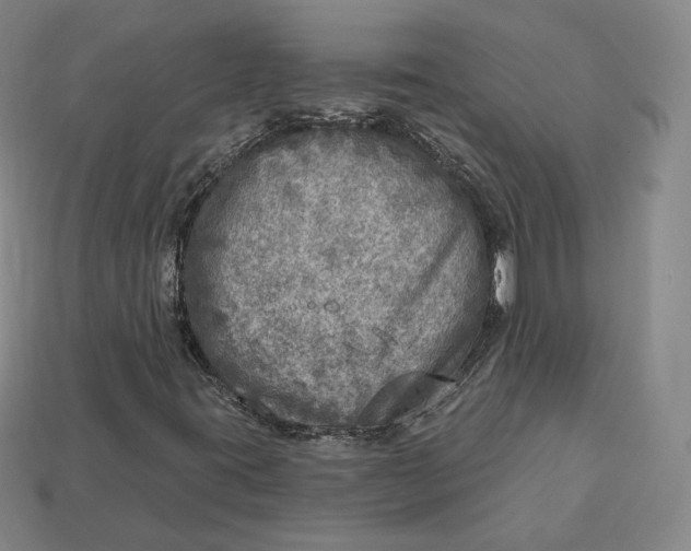 X0000112761395200909101520
