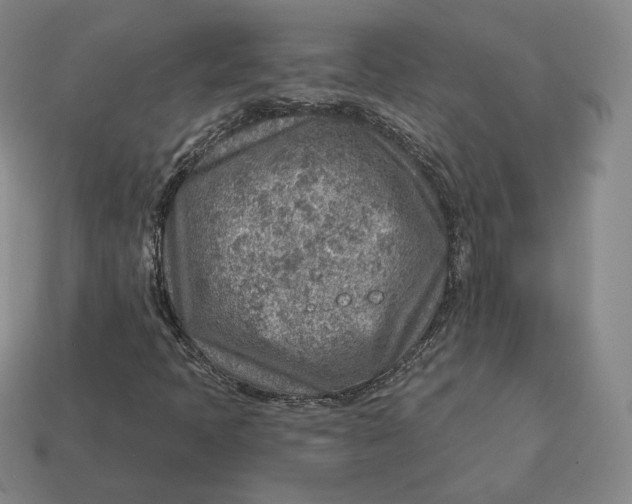 X0000112761397200909101520