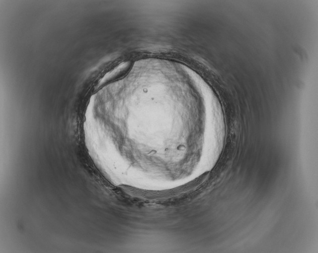 X0000112761398200909101520