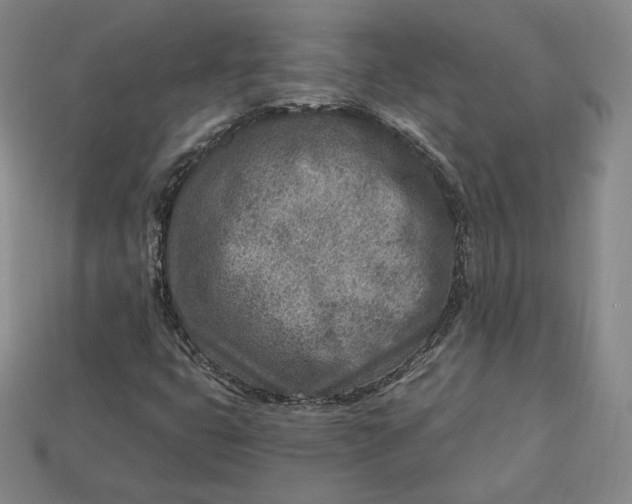X0000112761399200909101520