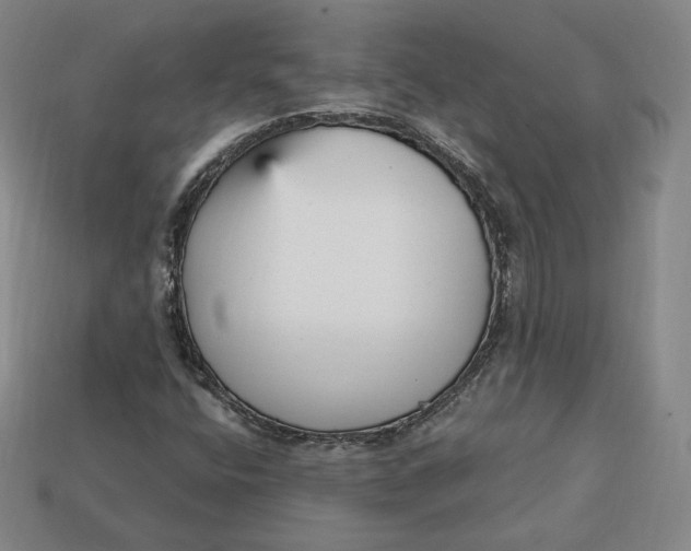 X0000112761400200909101520