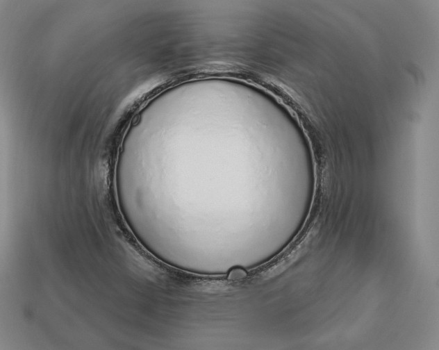 X0000112761402200909101520