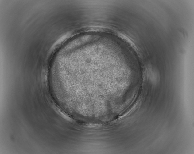 X0000112761403200909101520