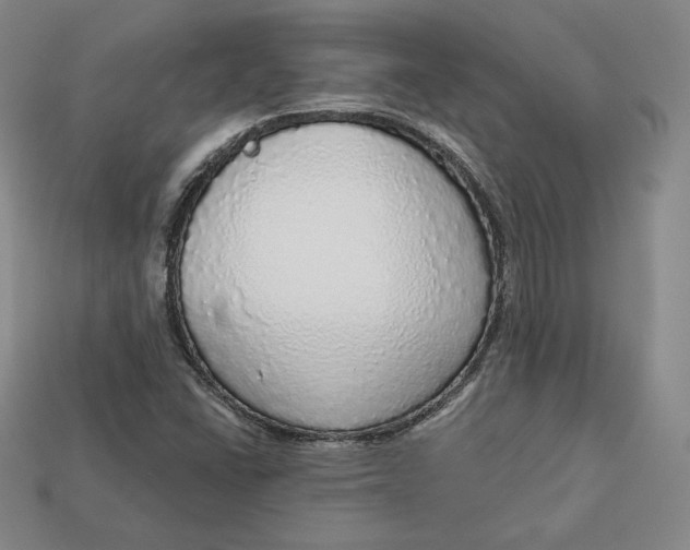 X0000112761406200909101520
