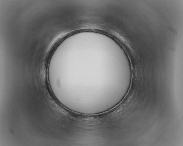 X0000112761408200909101521