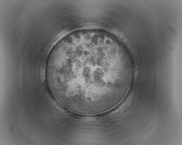 X0000112761409200909101521