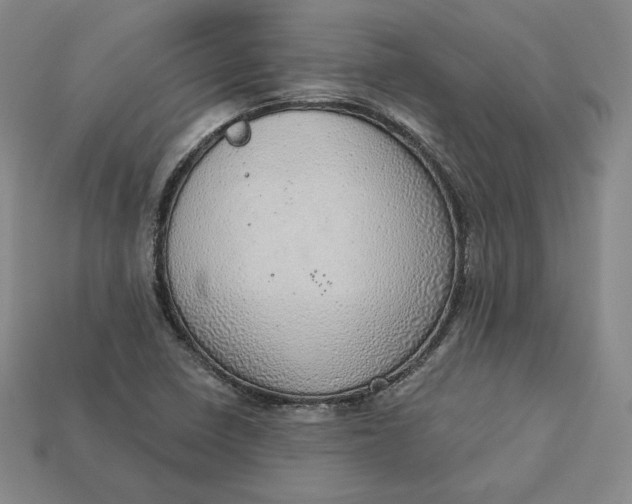 X0000112761410200909101521