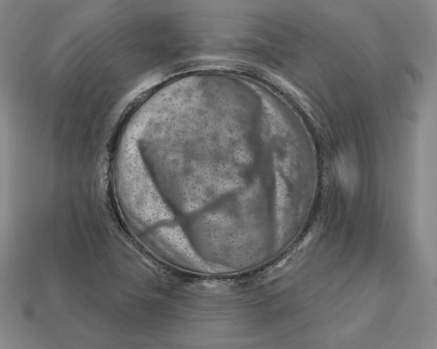 X0000112761411200909101521
