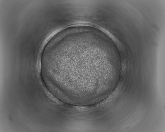 X0000112761413200909101521