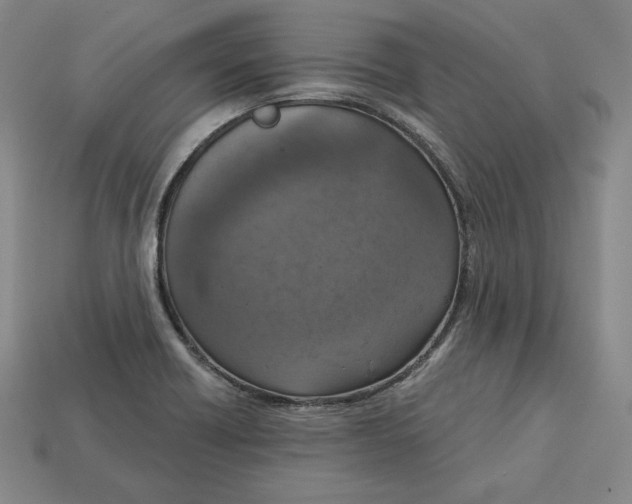 X0000112761418200909101521