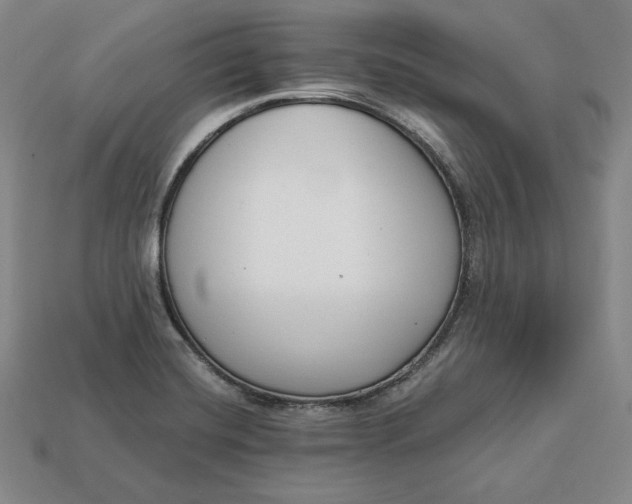 X0000112761420200909101521