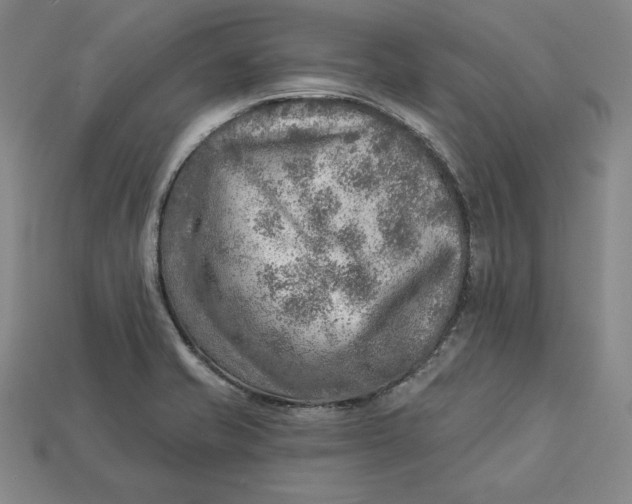 X0000112761421200909101521