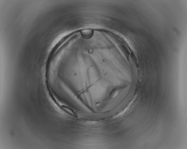X0000112761422200909101521